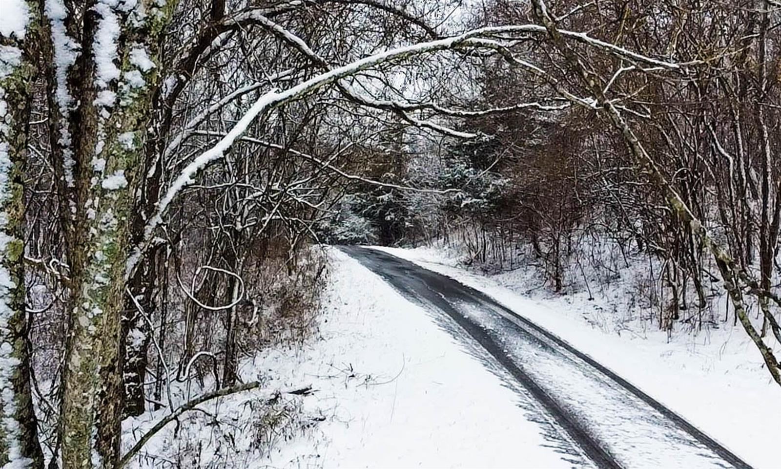 A road covered in snow heading through a wooded area